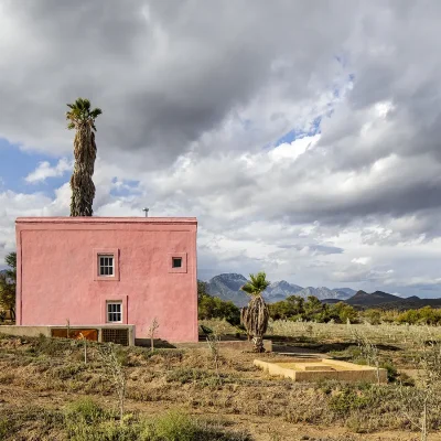 Buffelsdrift wine store, unique for its pink finish stands out amidst a shrubby landscape with olive tree's and a moody, grey sky with mountains in the distance.