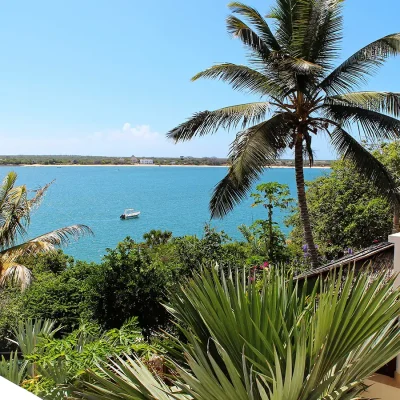 Peponi Hotel beach front views of tall palm trees and crystal, blue ocean water.