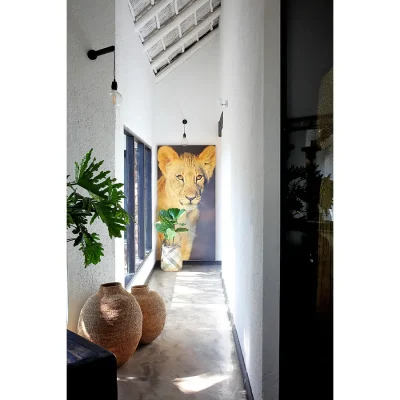 Natural light along the Manor House passage way dressed with whitewashed walls and a statement print of a lion cub.