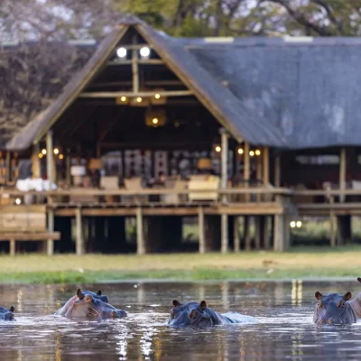 09_listing_botswana_okavango delta_khwai private reserve_sable alley_ph