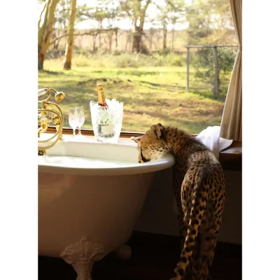 10_listing_kenya_meru county_meru_lewa wildlife conservancy_sirikoi lodge_ph