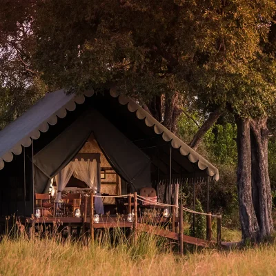 12_listing_botswana_okavango delta__northern okavango_duke's camp_ph