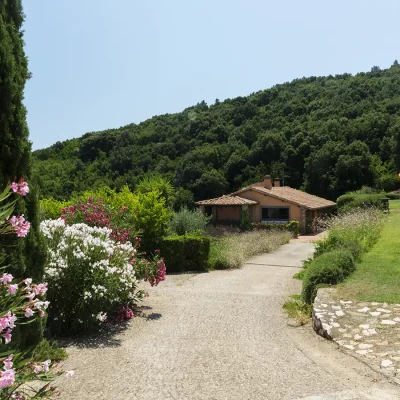 Long, paved driveway lined with pink and white flowers and surrounded by the forested Tuscan slopes leads you toward Villa Sunshine that stands out for its burnt orange walls and terracotta roof.