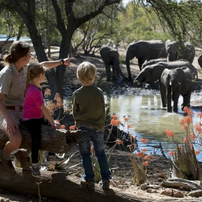 12_listing_south africa_mpumalanga_timbavati private nature reserve_ngala safari lodge_ph