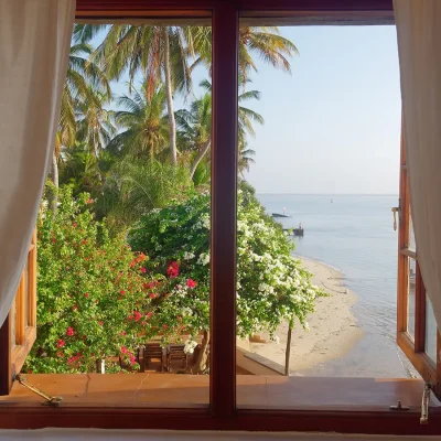 Open windows with views of the beach front decorated in palm trees and bougainvillea, and meeting the calm ocean water.