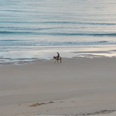 Extensive Shela beach with white sand that meets the calm, blue ocean, and a man on a donkey in the distance.