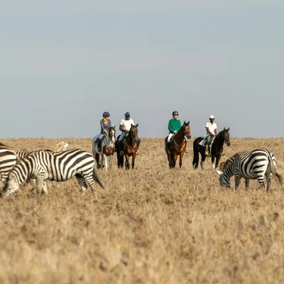 13_listing_kenya_laikipia county_laikipia_borana wildlife conservancy_laragai house_ph