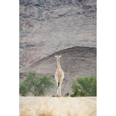 13_listing_namibia_northern namibia_skeleton coast national park_hoanib valley camp_ph