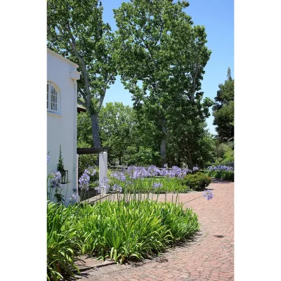 13_listing_south africa_western cape_cape town_constantia_buitenzorg pool cottage_ph