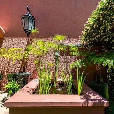 Courtyard space with pink terracotta walls and green arching vines. House Nouveau.