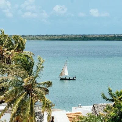 Palm trees and a traditional wooden dhow set on calm, blue waters. Peponi Hotel.