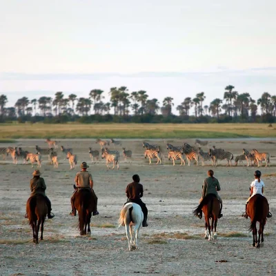 14_listing_botswana_makgadikgadi_makgadikgadi pans national park_san camp_ph