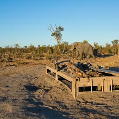 15_listing_botswana_okavango delta__khwai private reserve_sky beds_ph