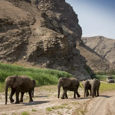 15_listing_namibia_northern namibia_skeleton coast national park_hoanib valley camp_ph