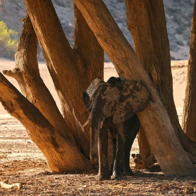 16_listing_namibia_northern namibia_skeleton coast national park_hoanib valley camp_ph