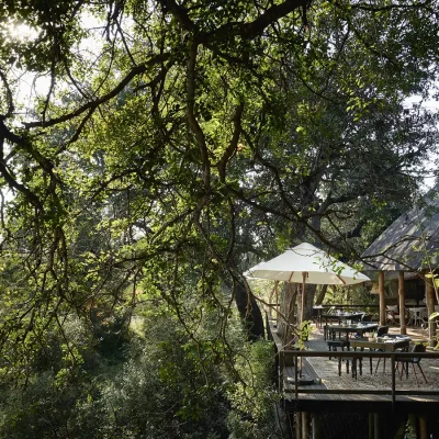 16_listing_south africa_mpumalanga_thornybush game reserve_royal malewane lodge_ph