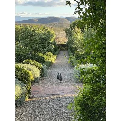 16_listing_south africa_western cape_cape winelands_nuy valley_penhill east grange_ph