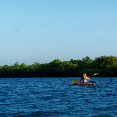 A girl kayaking on the calm ocean water with mangroves in the distance.