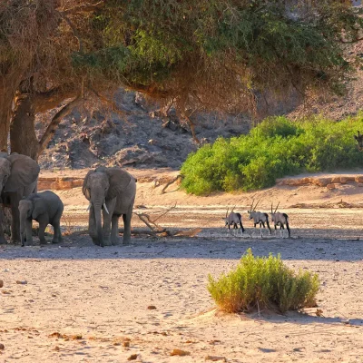 17_listing_namibia_northern namibia_skeleton coast national park_hoanib valley camp_ph