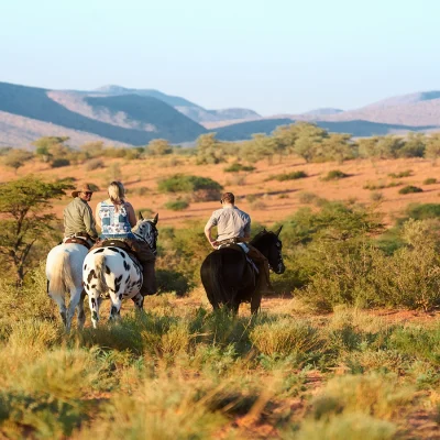 17_listing_south africa_northern cape_tswalu kalahari reserve_tarkuni homestead_ph 16.29.10