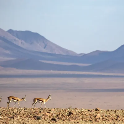 18_listing_namibia_southern namibia_namibrand nature reserve_kwessi dunes_ph