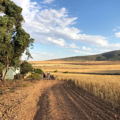 18_listing_south africa_western cape_west coast_koringberg_the old barn_ph