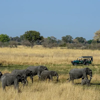 19_listing_botswana_okavango delta__northern okavango_duke's camp_ph