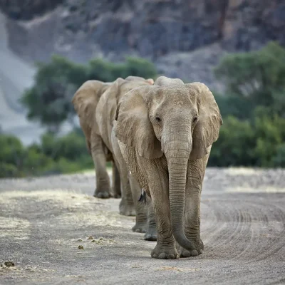 19_listing_namibia_northern namibia_skeleton coast national park_hoanib valley camp_ph