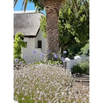 19_listing_south africa_western cape_cape town_constantia_buitenzorg pool cottage_ph