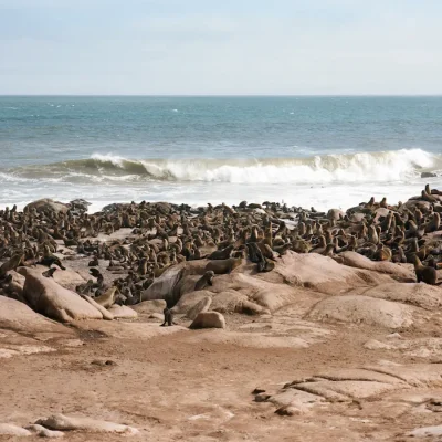 20_listing_namibia_northern namibia_skeleton coast national park_shipwreck lodge_ph