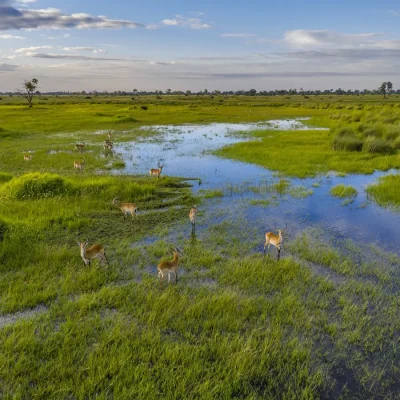 21_listing_botswana_okavango delta_khwai private reserve_sable alley_ph