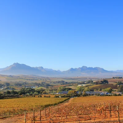 21_listing_south africa_western cape_cape winelands_stellenbosch_le jardin_ph