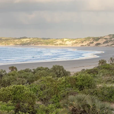 A stretch of Shela beach surrounded by dunes scattered with coastal vegetation.