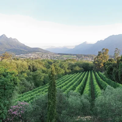 22__listing_south africa_western cape_cape winelands_stellenbosch_patina farm_ph