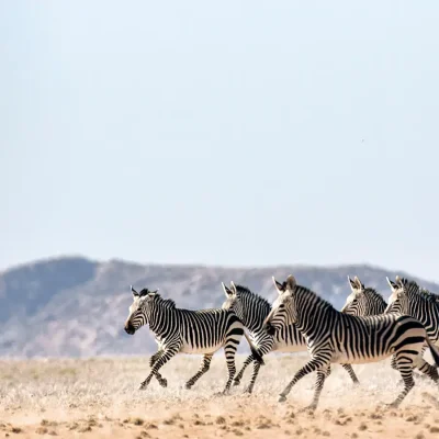 22_listing_namibia_southern namibia_namibrand nature reserve_sossusvlei desert lodge_ph