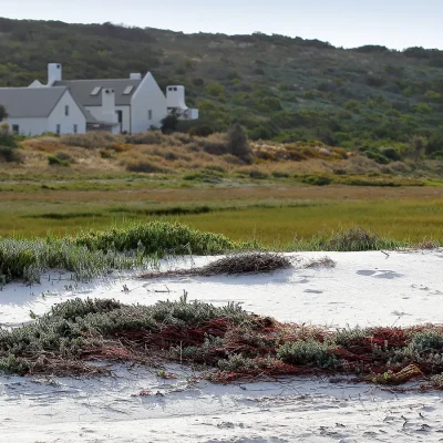 22_listing_south africa_western cape_west coast_churchhaven_flamingo_ph