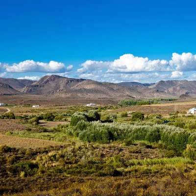 24_listing_south africa_western cape_karoo_prince albert_olive farm_ph