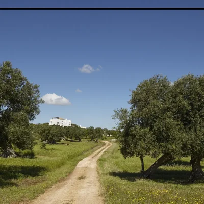 25_listing_italy_puglia_monopoli_masseria petrarolo_ph