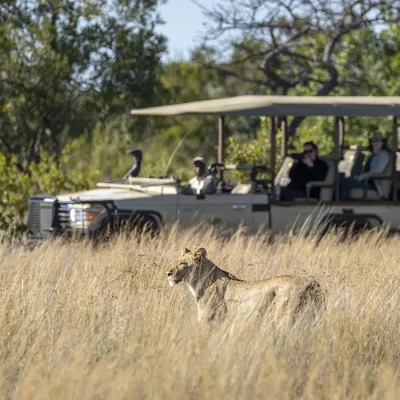 25_listing_south africa_limpopo_lapalala wilderness reserve_noka camp_ph