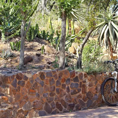 Bicycle leaning against a stone wall that separates the aloe garden from the road. Manor House.