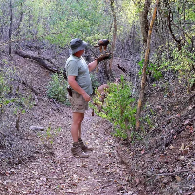 Man standing in a forested area of the Waterberg with a bird of prey on his arm.