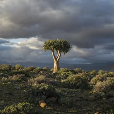 28_listing_south africa_northern cape_karoo_tankwa karoo_tankwa river lodge_ph