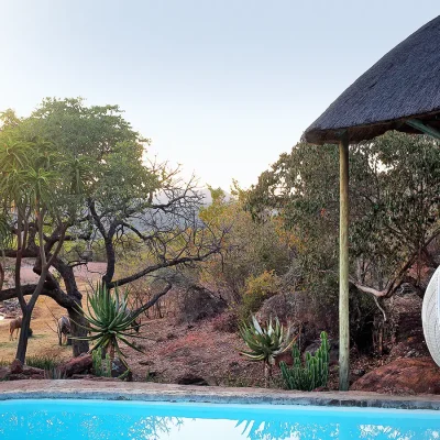 Swimming pool positioned next to a thatched pergola with an attached white hanging chair. Manor House.