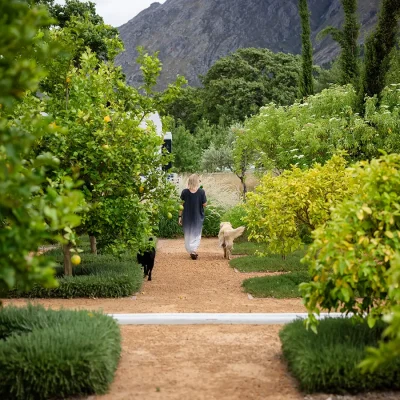 29_listing_south africa_western cape_cape winelands_franschhoek_pear farm_ph