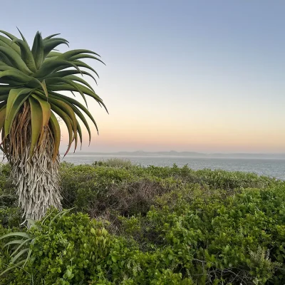 32_listing_south africa_western cape_overberg_hermanus_kwaai rock_ph