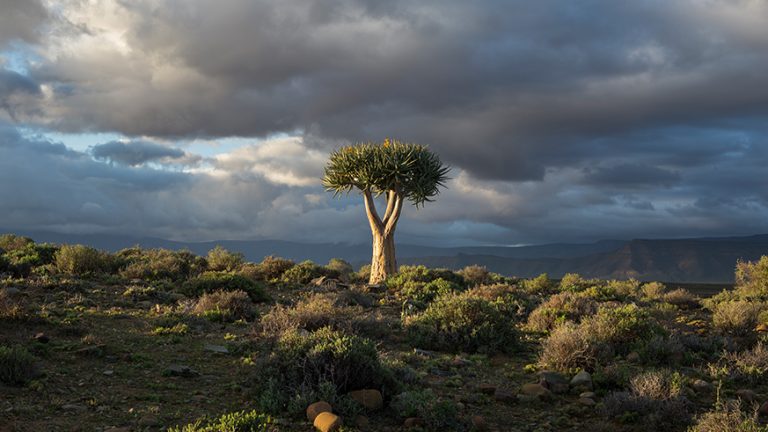 Perfect-Hideaways,-South-Africa,-Tankwa-Karoo,-Tankwa-River-Lodge-Hero-Image-Desktop