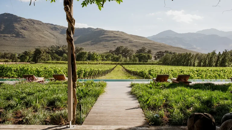 perfect_hideaways_maison_franschhoek_00